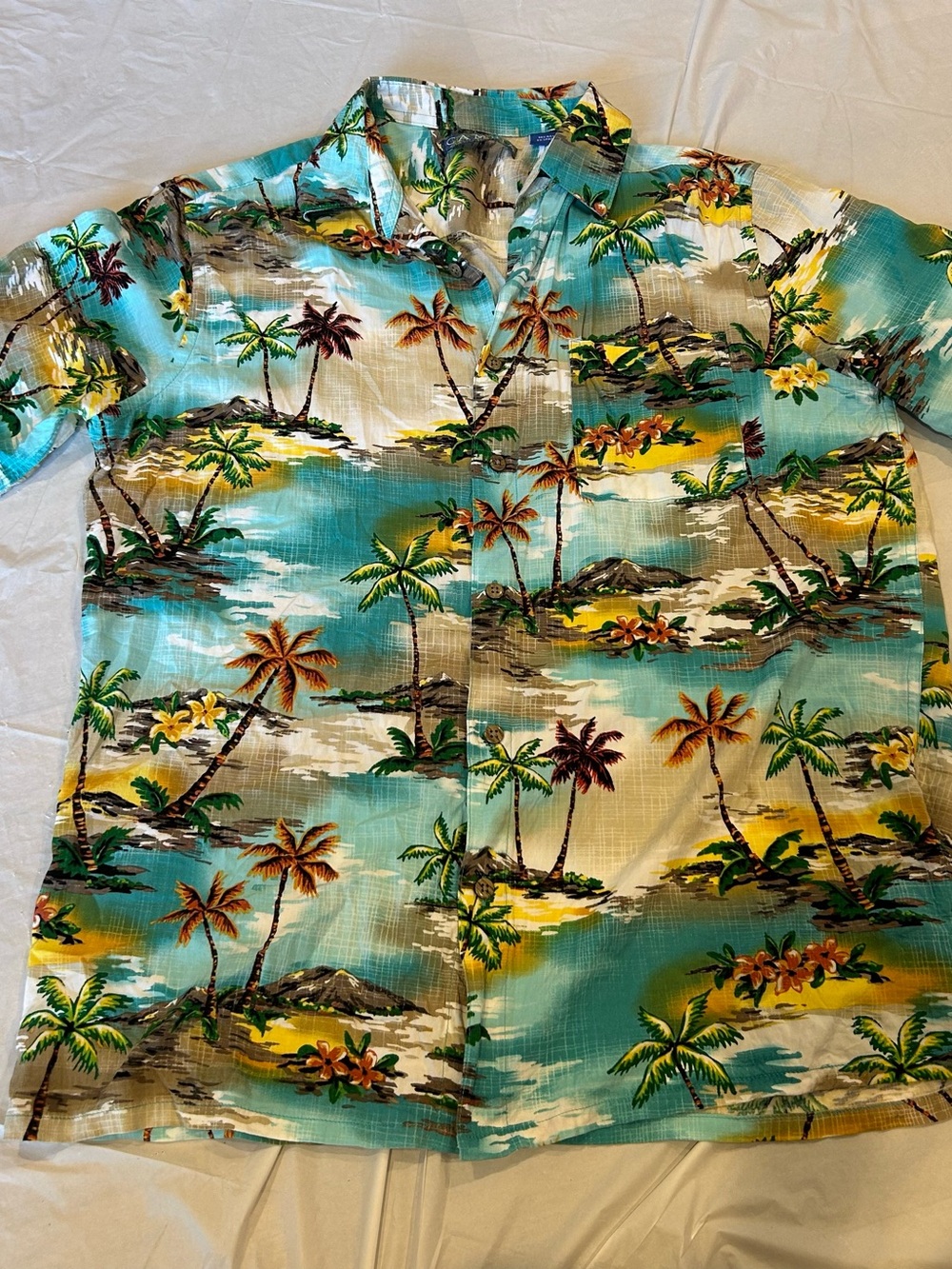 Campia Moda Vintage Scenic Hawaiian Aloha Shirt Medium